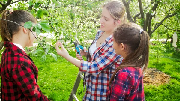 Ritratto di giovane madre che insegna potatura dei suoi figli nel frutteto — Foto Stock