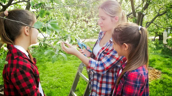 Retrato de jovem mãe ensinando seus filhos a podar macieiras — Fotografia de Stock