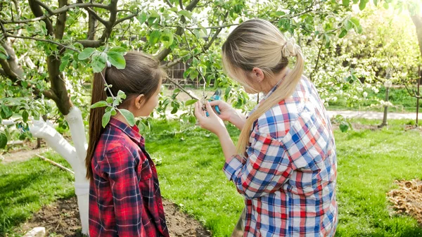 Young woman showing her daughter buds and flowers on blossoming trees — Stock Photo, Image