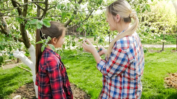 Beautiful young woman pruning trees with her daughter in orchard — Stock Photo, Image