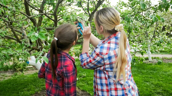 Photo of young woman with daughter checking trees for paraites — Stock Photo, Image