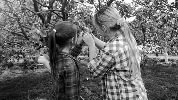 Black and white photo of young woman working in orchard with her daughter — Stock Photo, Image