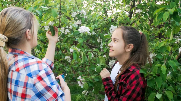 Joven madre enseñando a su hija a cortar ramas con cortadores de jardín — Foto de Stock