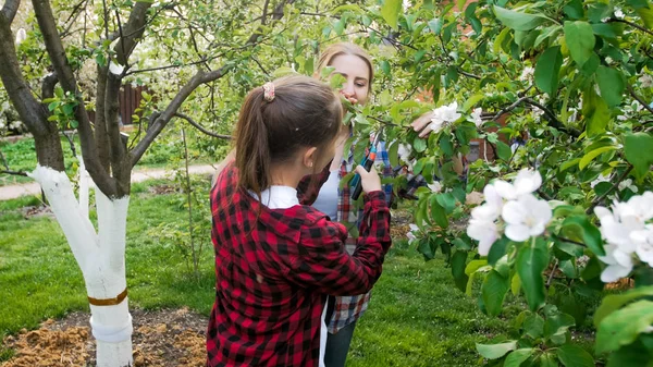 Χαριτωμένο εφηβικό κορίτσι κλάδεμα δέντρων μηλιάς σε οπωρώνα με μητέρα — Φωτογραφία Αρχείου