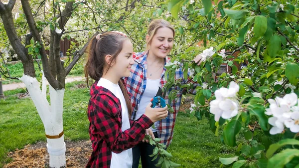 Glædelig smilende teenage pige beskæring træer i frugthave - Stock-foto