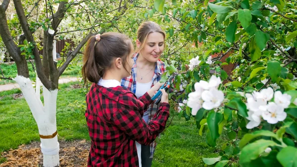 Tienerdochter helpt haar moeder snoei van appelbomen in de boomgaard van de achtertuin — Stockfoto