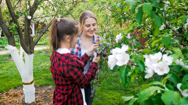 Anya és lánya metszés tres, kerti kések: orchard mosolyogva portréja — Stock Fotó