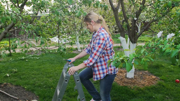 Junge blonde Frau geht Gartenleiter in Obstgarten hinauf — Stockfoto