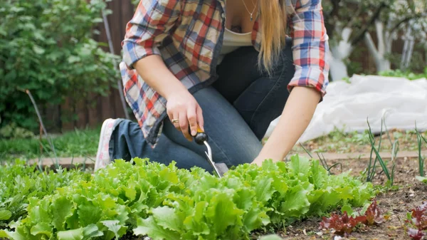 Крупный план молодой женщины, сажающей зеленый салат в саду — стоковое фото