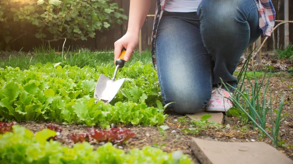 Foto de primer plano de una joven con pala trabajando en el jardín — Foto de Stock