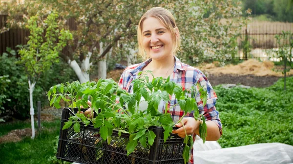 Feliz mujer jardinero riendo posando con plántulas de tomate en el jardín —  Fotos de Stock