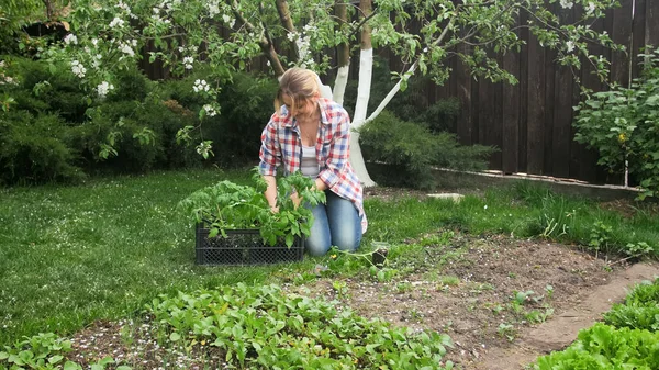 Hermosa joven plantando trabajando en garde con plántulas — Foto de Stock