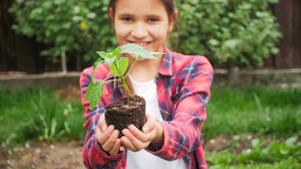 Portrait of cute smiling girl holding sprouts and soil in hands — Stock Photo, Image