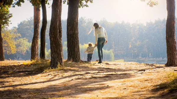 Mujer joven con su hijo pequeño caminando en el bosque de otoño —  Fotos de Stock