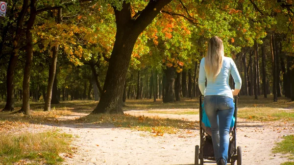 Rear view shot of young mother with baby trolley walking in autumn park — Stock Photo, Image