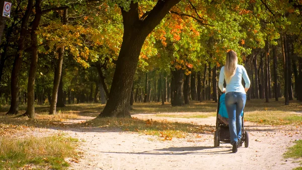 Rear view shot of young woman with baby pram walking under autumn trees in park — Stock Photo, Image