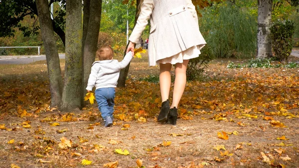 Rear view photo of little toddler boy walking by hand in autumn park — Stock Photo, Image