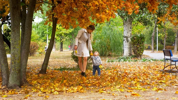 Ładny 1 roku życia chłopca z matka spaceru w parku jesień — Zdjęcie stockowe