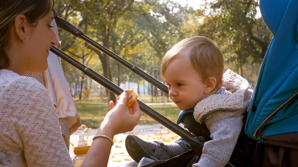 年轻母亲的肖像喂养她的蹒跚学步的男孩坐在婴儿车在公园 — 图库照片