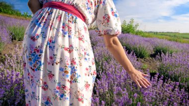 Arka görünümü görüntü lavanta sahasında yürüyen genç kadın