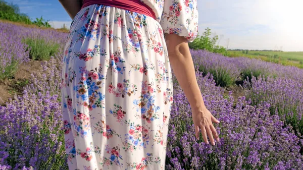 Foto close-up de jovem caminhando no campo de lavanda e tocando flores com a mão — Fotografia de Stock