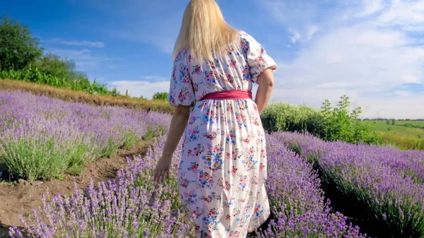 Visão traseira imagem de jovem loira em vestido andando no campo de lavanda — Fotografia de Stock