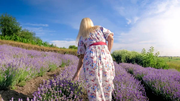 Visão traseira imagem de jovem mulher tocando flores enquanto caminhava no campo de lavanda — Fotografia de Stock