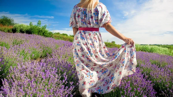 Arka görünümü Provence, lavanta satırlar arasında yürüyüş uzun elbiseli genç kadın fotoğrafı — Stok fotoğraf