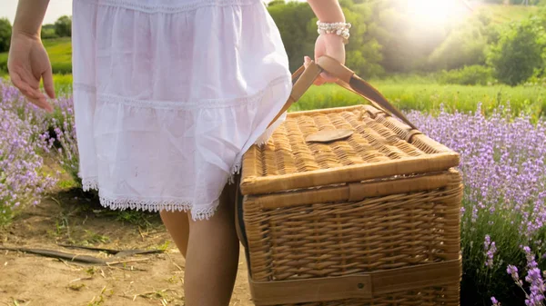 Z tyłu widok obrazu młodej kobiety, niosąc wielki Wiklinowy kosz na piknik w dziedzinie — Zdjęcie stockowe
