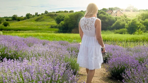 Mulher bonita em vestido branco andando entre linhas no campo de lavanda — Fotografia de Stock