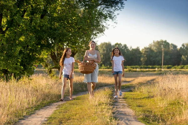 Feliz familia joven caminando con cesta en el picnic en el campo — Foto de Stock