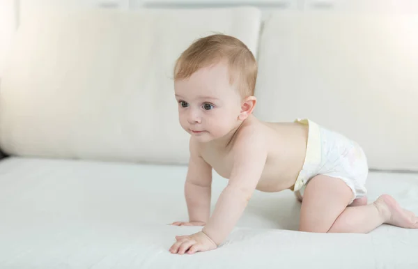Adorável menino de 10 meses de idade em fraldas rastejando na cama — Fotografia de Stock