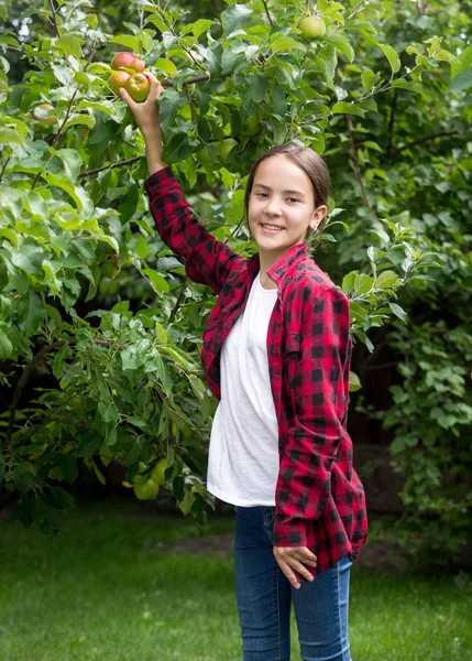 Portrait of smiling young girl taking fresh apple from tree in orchard — Stock Photo, Image