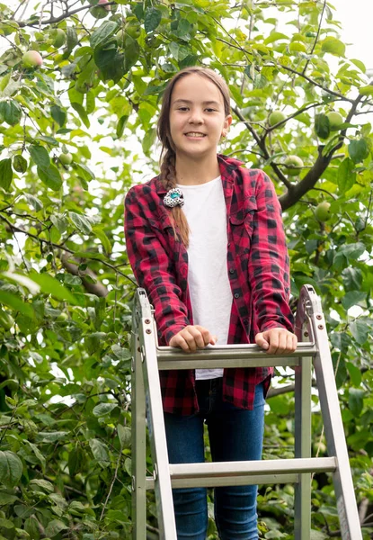 Beautiful brunette girl in checkered shirt standing on top of stepladder at orchard — Stock Photo, Image