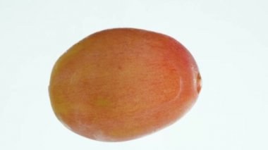 Makro 4K sıkma ve olgun üzümleri ezme videosu. Üzüm suyu şarap yapmak için yapılır. Organik gıda ve sağlıklı beslenme için mükemmel bir soyut zemin. Patlayan böğürtlenlere yakın çekim