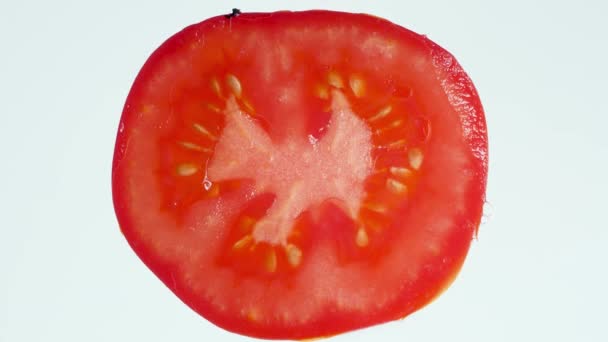 Beyaz arka planda ezilmiş domates diliminin 4k makro videosu. Hamur ve meyve suyu fışkırıyor ve akıyor. Organik gıda ve sağlıklı beslenme için mükemmel bir soyut zemin. Patlamaya yakın çekim — Stok video