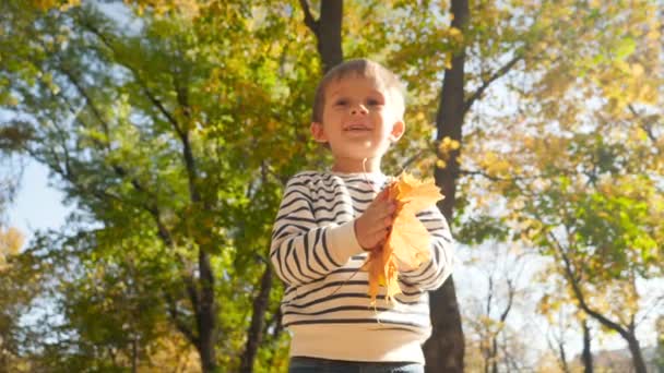 Vidéo 4k de heureux petit garçon souriant jetant congé d'automne à la caméra et sautant haut — Video