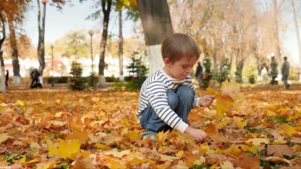 4k video de niño pequeño sentado en el parque de otoño y recogiendo hojas amarillas — Vídeos de Stock