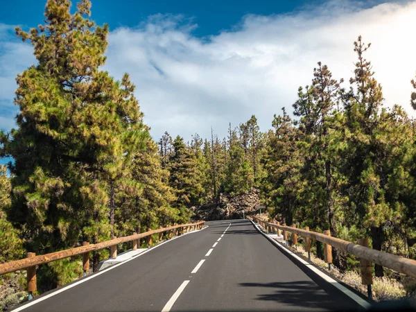 Красивый ландшафт елового леса в горах и узкая автомобильная дорога — стоковое фото