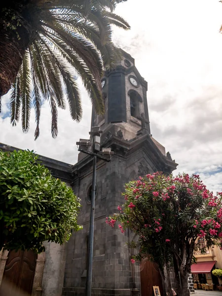 Bella immagine di vecchie palme che crescono accanto all'alta torre dell'orologio e alla cattedrale sull'isola tropicale — Foto Stock