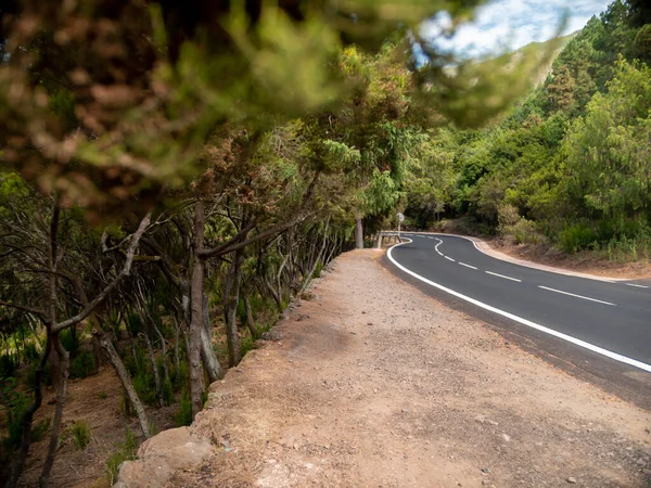 Vista através de folhas de árvores na bela estrada em montanhas que atravessam a floresta — Fotografia de Stock