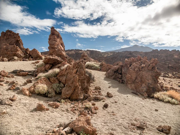 Bellissimo paesaggio di piante secche e cespugli che crescono su scogliere e rocce nel deserto — Foto Stock