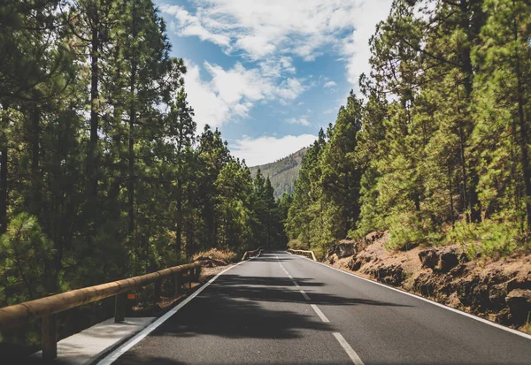 Immagine tonica della strada automobilistica che attraversa la vecchia pineta in alta montagna nella luminosa giornata di sole — Foto Stock