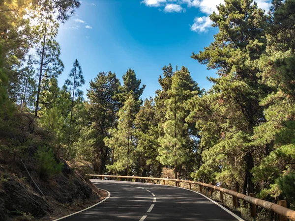 Imagem bonita de curva de estrada aguda em floresta de pinheiro em montanhas — Fotografia de Stock