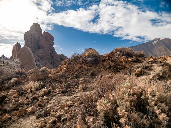 Vista del suolo su piante e cespugli secchi che crescono nel deserto sul versante montano o vulcanico — Foto Stock