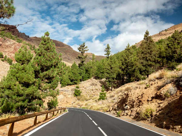 Bella immagine di strada di montagna con recinzione in legno che attraversa la foresta — Foto Stock