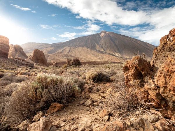 Bella immagine di deserto arido con piante secche e cespugli sul pendio della montagna — Foto Stock