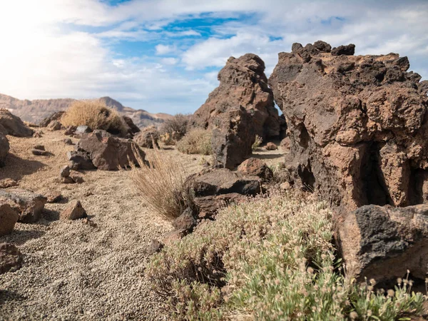 Immagine ravvicinata di erba secca e cespugli che crescono nel deserto contro alte rocce vulcaniche e montagne — Foto Stock