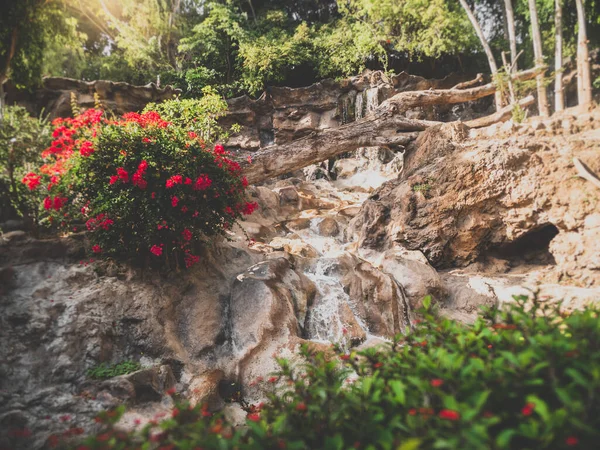 Toned image of stream flowing in waterfall on high cliff at tropical forest — Stock Photo, Image