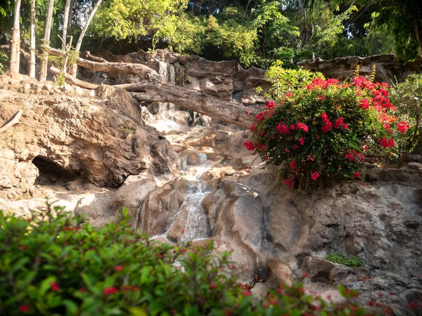 成長する花、木、植物と山を流れる滝の美しいアフリカの風景 — ストック写真